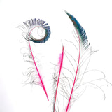 Peacock Swords Stem Dyed - Shocking Pink
