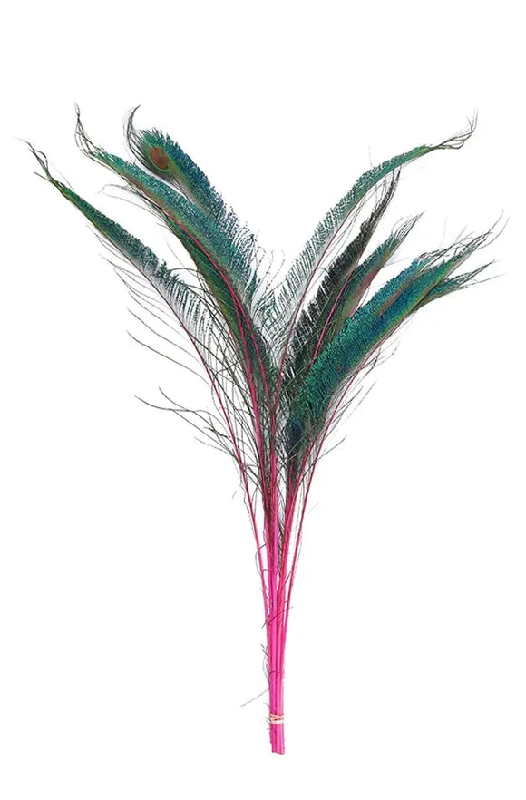 Peacock Swords Stem Dyed - Shocking Pink