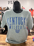 Wildcats distressed tee