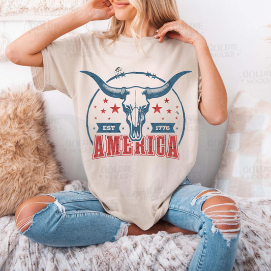 America bullhorn 1776 tee