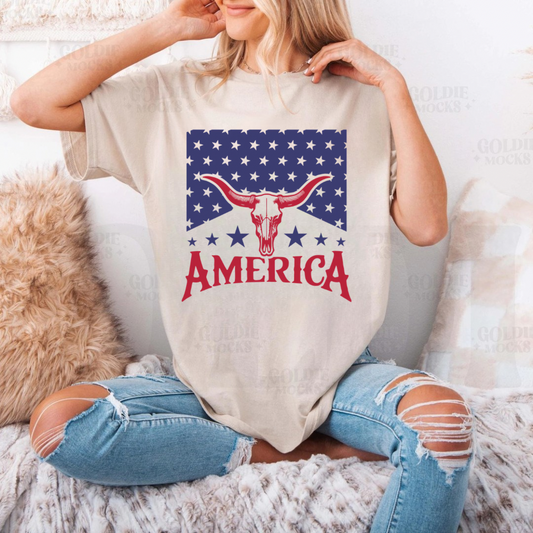 America stars bullhorn tee