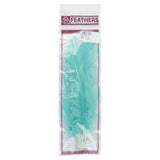 Turkey Quills Dyed Feathers Mint