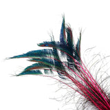 Peacock Swords Stem Dyed - Shocking Pink