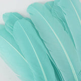 Turkey Quills Dyed Feathers Mint
